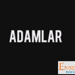 Grup Adamlar Yetkili Menajerlik,