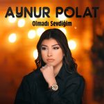 Aynur Polat Menejer İletişim,