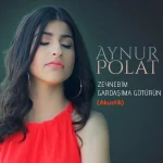 Aynur Polat Ulaşım,