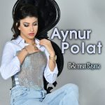 Aynur Polat Konser Kaşesi,