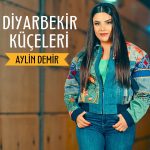 Aylin Demir Yılbaşı Konser Fiyatı,