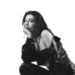 M Lisa Belediye Festival Ücreti,