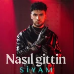 Siyam festival konseri,